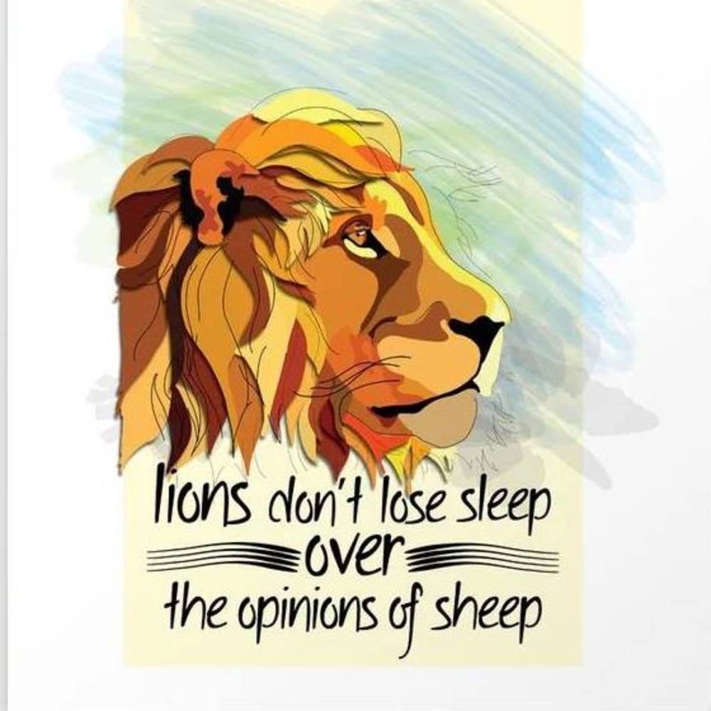 Meet your Posher, Miranda